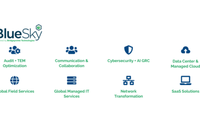 BlueSky IT Partners Creates Game-Changing Outcomes for Rapidly Shifting Enterprise IT Requirements